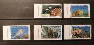 ギリシャ 海洋生物(5種,コイル) MNH