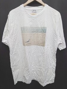 ◇ CAPSULE-T シンプル 半袖 Tシャツ カットソー サイズL ホワイト メンズ P