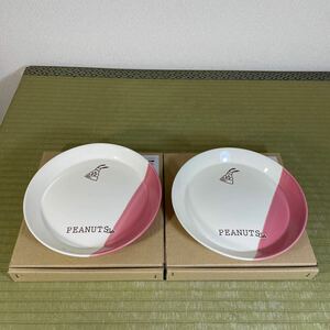 ▲送料無料 ▲PEANUTS Cafe プレート バイカラー Mピンク 20cm PLF-PI-M 2枚セット 丸皿 未使用保管品