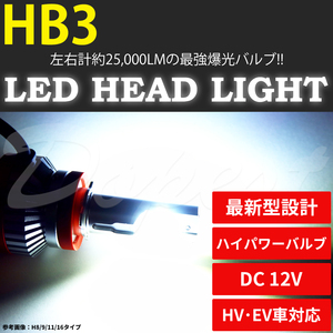 LEDヘッドライト HB3 テリオスキッド/ルキア J111G/131G系 H12.11～H24.5 ハイビーム