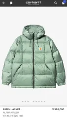 【雷市場（ポンジャン）商品韓国直送】 Carhartt(カーハート) アスペン ダウンジャケット