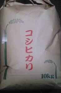 茨城県北部より生活応援米　[中米です]　令和６年産コシヒカリ新米になります　白米１０㎏　農家直送