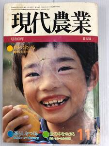 現代農業 げんだいのうぎょう1985年11月号 241204