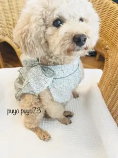 犬服　犬の服　犬ワンピ　ハンドメイド