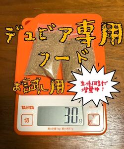 デュビア専用フード お試し用30g まとめて取引で生体同封にて150gに増量中！