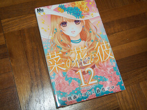 菜の花の彼 ナノカノカレ 12巻 桃森ミヨシ 鉄骨サロ ☆ レンタル使用品