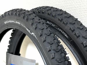 【送料無料特価】Schwalbe Black Jack 16×1.90 2本セット 《16インチ/ETRTO305》