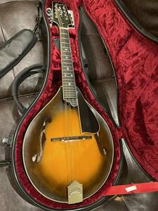 フラットマンドリン Quint A5 美品中古 Mandolin ハードケース付き