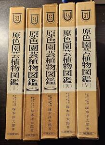 改訂版 旧版 原色園芸植物図鑑 1巻から5巻 / 著者 塚本洋太郎 / 保育社