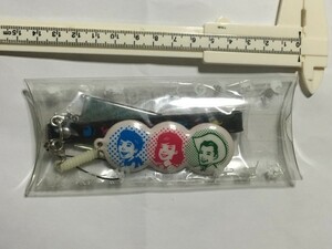  正規品 いきものがかり ツアー 2010 ストラップ 新品 nandemo areeeeena!! 吉岡聖恵 IKIMONOGAKRI strap Mobile phone charms