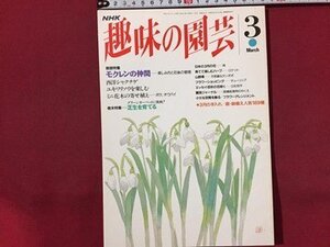 ｓ◆　1994年　NHK 趣味の園芸 3月号　モクレンの仲間　西洋シャクナゲ 他　日本放送出版局　書籍のみ　書籍　雑誌　/M99