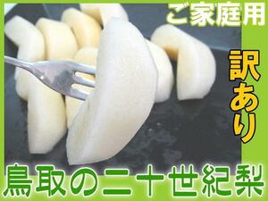 5個出品 鳥取県産 二十世紀梨 20世紀梨 5kg 訳あり ご家庭用予約 9月上旬頃から出荷 さんきん 1円