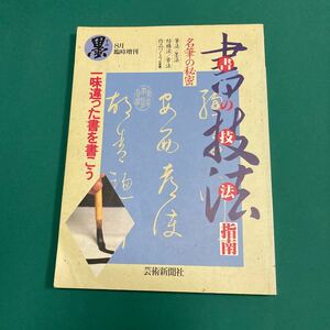 書の技法指南 【一味違った書を書こう】H