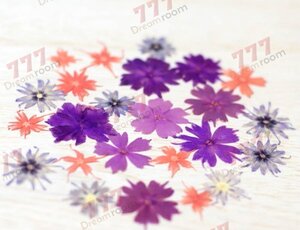 送料無料☆本物 押し花素材 ハンドメイド 花材 スターフロックス　ミックス