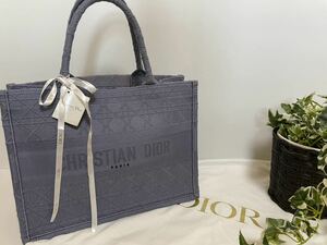 ★タグ付き　未使用　ディオール　ブックトート　キャンバス　青　水色　DIOR トートバッグ　クリスチャンディオール　Christian Dior 