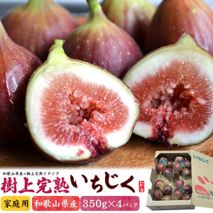 いちじく 生 国産 約1.4kg (350g×4パック）樹上完熟いちじく 果物 和歌山 家庭用 生イチジク 農園直送 フルーツ