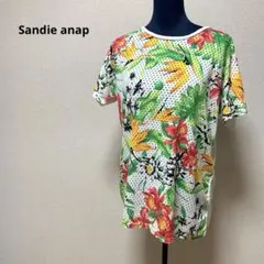 Sandie anap/サンディアナップ・ボタニカル柄　Tシャツ　前メッシュ