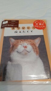 猫　沖昌之 猫達のメッセージ　ありがとう伝えたくて