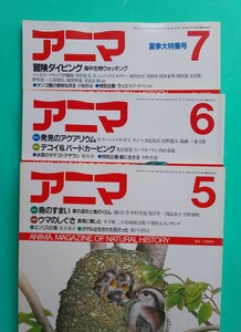 アニマ ３冊