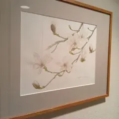 額縁　水彩画　肉筆　こぶし 花