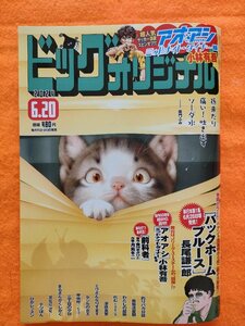 最新刊！ ビッグコミックオリジナル 2024年6月20日号 12号 送料込み・即決価格あり 