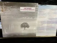 ■US盤シュリンク付LP■Genesis／ジェネシス