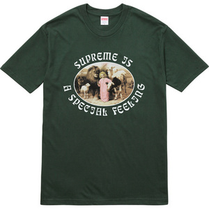 希少★新品本物【Dark GREEN★M】Feeling Tee フィーリング 絵画 William Strutt Peace 正規店購入 シュプリーム 限定入手困難 Supreme16AW