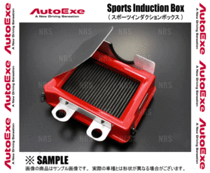 AutoExe オートエクゼ スポーツインダクションボックス (エアフィルター付) プレマシー CWEFW (MBL957X