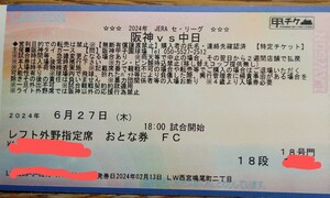 6月27日 （木）甲子園球場　阪神vs中日 レフト側 外野指定席 18段 通路横　１枚　雨天保障有り