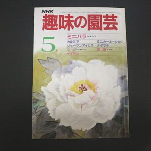 特2 51506 / NHKテキスト 趣味の園芸 1985年5月号 ミニバラ 鉢づくり ミニカーネーション ジャーマンアイリス 盆栽 下草 ケイラン