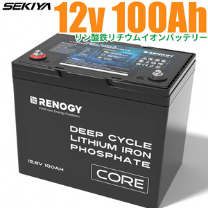 リン酸鉄リチウムイオンバッテリー Core 12V 100AH 1356Wh 5000回寿命 安全 バッテリー lifepo4 ディープサイクル BMS保護 SEKIYA