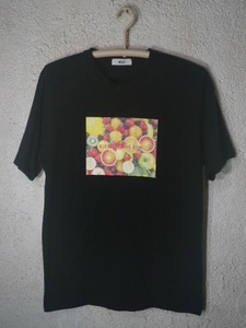 to1202 WE GO ウィーゴー　半袖　フルーツ　プリント　tシャツ　BLESS OF THE SUN 人気　送料格安