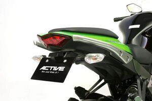 アクティブ フェンダーレスキット ブラック LEDナンバー灯付 KAWASAKI Ninja1000 