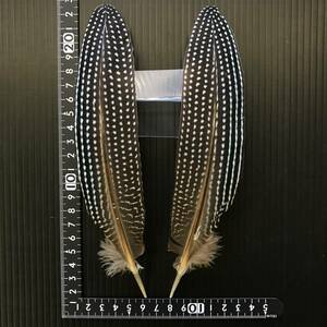 クレステッドギニアクイル プライマリー CRESTED GUINEA QUILL 新品 サーモンフライ ドライ ウェット 毛鉤 テンカラ渓流タイイングフェザー