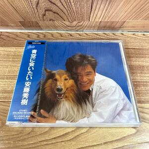 未開封CD「安藤秀樹/青空に会いたい」