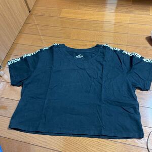 ホリスター 半袖Tシャツ クルーネック