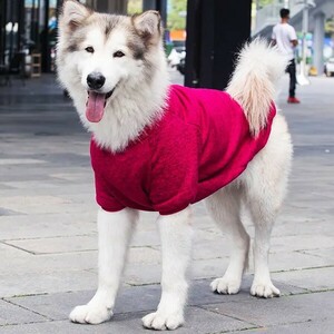 犬服 Dog ペット服 セーター 冬服 秋服 裏起毛 レッド 6XL アメリカンピットブルテリア ウェルシュ コーギー 甲斐犬 紀州犬 北海道犬 冬服