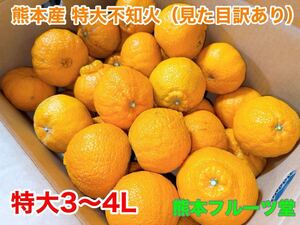 見た目訳あり！人気生産者！熊本産温室栽培 不知火【優品3〜4L大サイズ約10k箱込　熊本フルーツ堂87