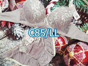 C85019-P C85/LL ブラ・ショーツセット ランジェリー インナー 下着 快適冷涼ブラ