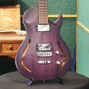 送料無料 新品 Vigier Guitars ヴィジェ エレキギター G.V. Series G.V.Wood Hollow VGV-CWHW Purple Fade ケース付 検品・調整済 セミアコ