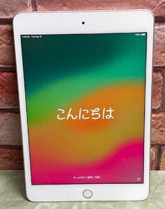 1円～ ●Apple iPad mini 第5世代 / Wi-Fi + Cellular / 256GB / シルバー / iOS 17.5.1 / 7.9型 (2048x1536) / バッテリー84% / MUXD2J/A