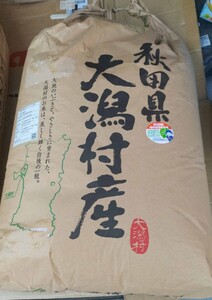 令和6年産 本場秋田県大潟村県産のあきたこまち　30キロ　玄米