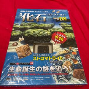 複　Y501. 8. 未開封 化石付き 月刊化石コレクション NO.08 地球と古生物のミステリー・ロマン　保管品　シュリンク付き　