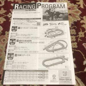 JRAレーシングプログラム2020.12.13(日)阪神ジュベナイルフィリーズ(GⅠ)、カペラステークス(GⅢ)、飛騨ステークス