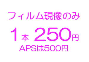 即決　1本処理 カラーネガフィルム現像 １本 ２５０円