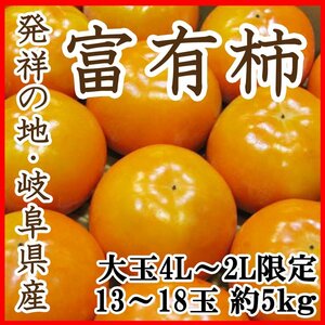 【Good】大玉4L～2Lサイズ限定！発祥の地・岐阜産『富有柿』13～18玉 約5kg ご予約