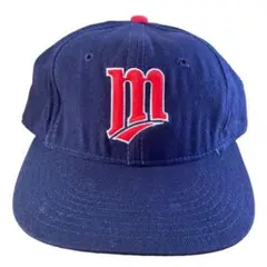 VINTAGE NEW ERA MINNESOTA TWINS CAP