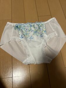 triumph トリンプ ショーツ　 白水色刺繍　未使用タグ無しです。 Mヒップハング 