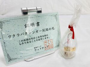 レア 美品 サクラバクシンオー 尻尾の毛 証明書 競馬グッズ ウッドチップ ウマ娘 II-240824011