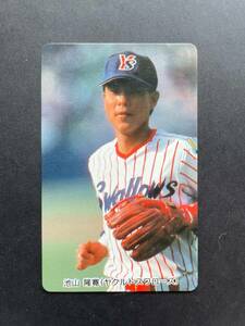 カルビープロ野球カード 94年 No.C-31 池山隆寛 ヤクルト 1994年 北海道・山陽・九州地方版 (検索用) レアショートブロック ホログラム